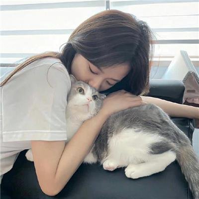 条子阿不拉